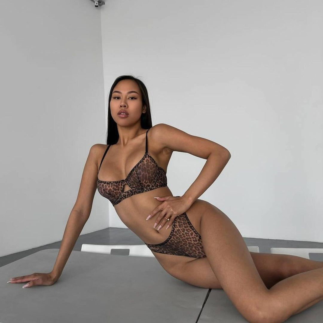 Leopard Print Sexy Lingerie Mesh Two-Piece Set – Sheer Bra & Thong